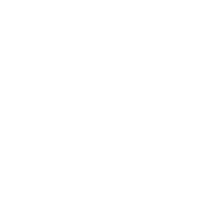 Dunedin Council Logo